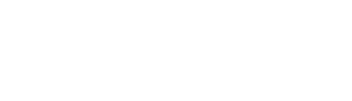 DISGUISE
